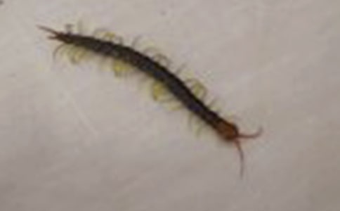 ЦԒ���£����ȥ�I(m��i)��