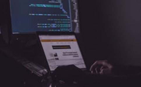 熬夜去玩電腦小學(xué)生作文精選