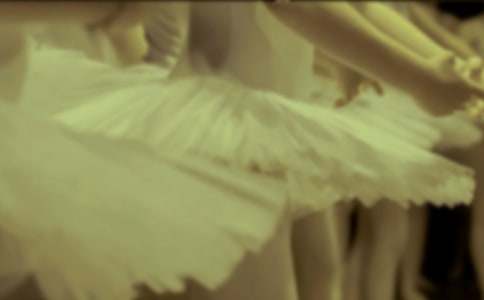 ���c���ٵĹ�������