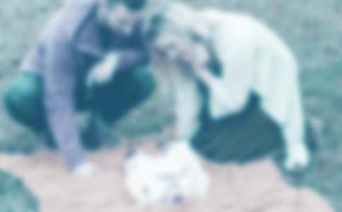 �P(gu��n)�������еİְ֋������ģ�ͨ��61ƪ��