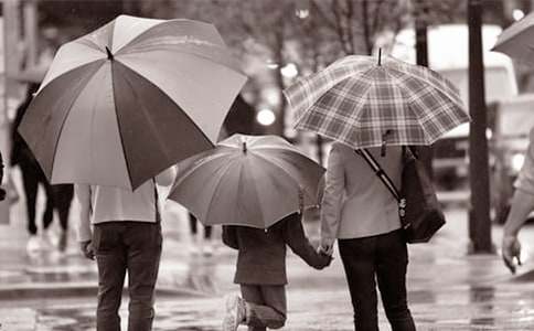 �ְ֋������ѽ�(j��ng)�L(zh��ng)��������