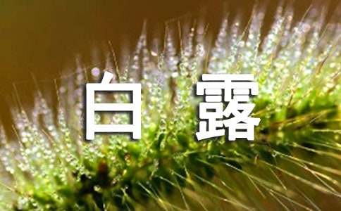 介紹白露的五大習俗范文