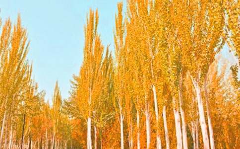 2017����ͨԒˮƽ�yԇ���x��Ʒ�����ח�Yٝ��