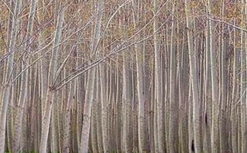 ��ͨԒ��ԇ���x��Ʒ���ח�Yٝ