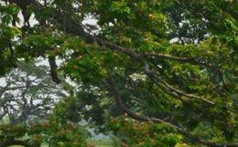 У�@��İח�����