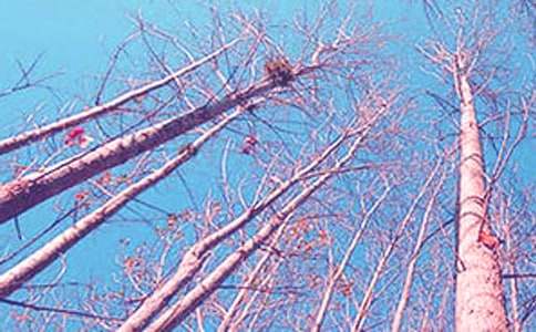 ���ݴ���ח����~�Z���x