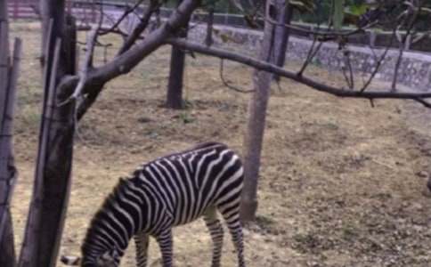 �Y׌���R��׌����������������