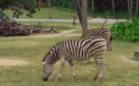 �����Y׌���R�����h��(�ϼ�15ƪ)