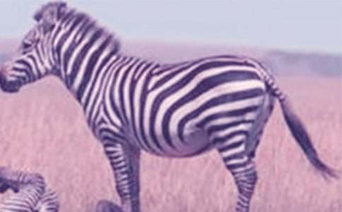 ���R��(y��u)������