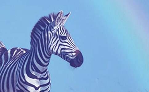 �P(gu��n)�ڶY׌���R�������ģ�ͨ��31ƪ��