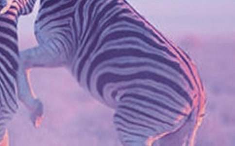 �P(gu��n)�ڶY׌���R��������