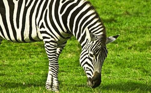 ʧ�����ڰ��R��������