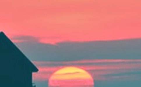 ��������600����ƪ