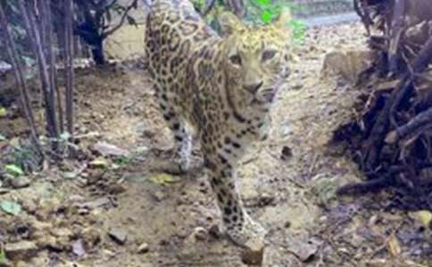 �����ҳ������ı���đ����