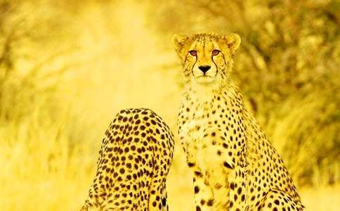 �P(gu��n)��؈���������꼉:�Һ�С����-С�W(xu��)Ԓ�}����