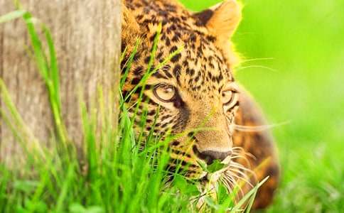 ��������500��7ƪ