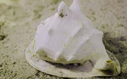 �����T����ؐ������400��