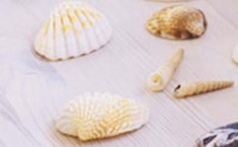 ؐ������300�ּ��\10ƪ