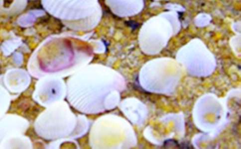 [��(j��ng)��]ؐ������300��7ƪ