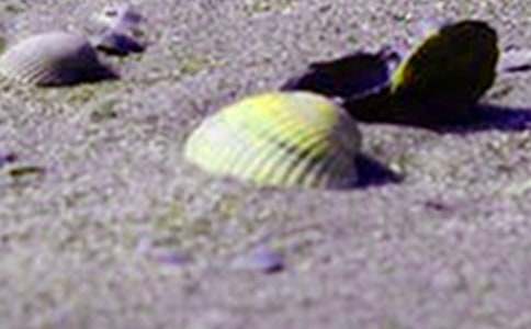 �����T����Ư����ؐ������