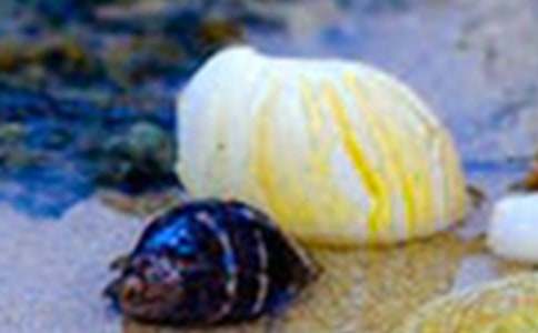 ؐ������400��5ƪ(��(y��u)��)