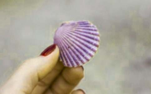 ؐ������400���\��(8ƪ)