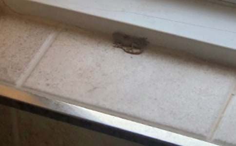 С�W(xu��)���ģ��^��ڻ�