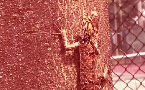 �^��ڻ�������(3ƪ)