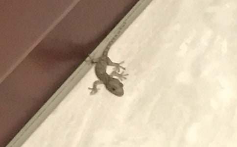 �^(gu��n)��ڻ�����6ƪ