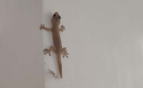 �ͱڻ����C��̎����