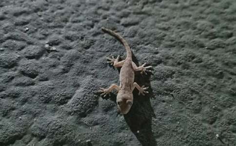 �ڻ��Ć�ʾ����13ƪ