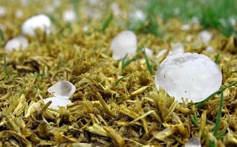 ����600������