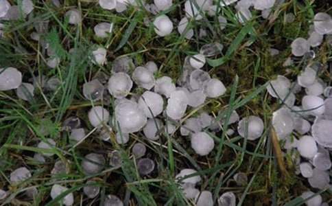 ��������300�֣�ͨ��49ƪ��