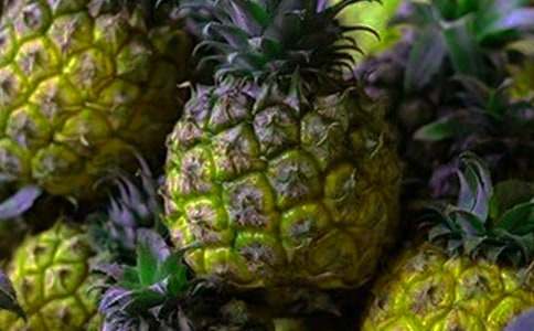 �Բ��}����300�֣����x25ƪ��