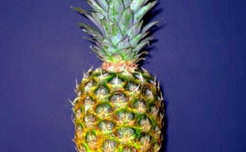 ���}����400����ƪ