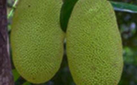 ���}����x�}����