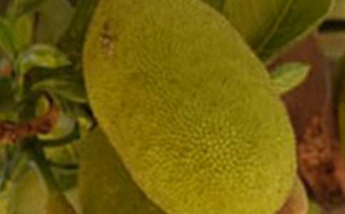 �в��}������300��