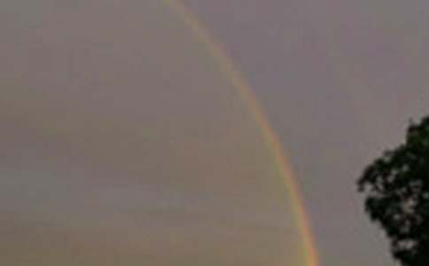 2017���L(f��ng)���^��Ҋ�ʺ烞(y��u)������