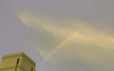 ������ͯԒ���²ʺ繫����ͨ��12ƪ��