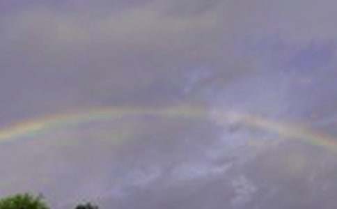 �����T���ʺ��ͯԒ����4ƪ