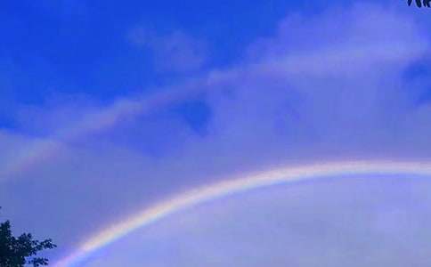 �ʺ�Ĺ���ͯԒ����