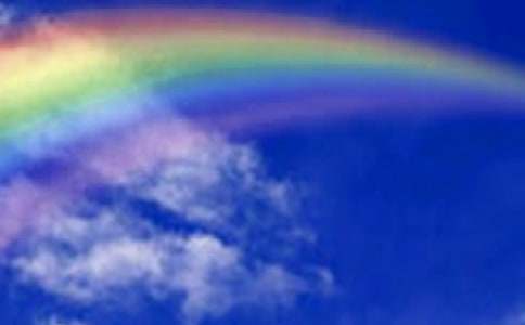 �I����Ĳʺ���������