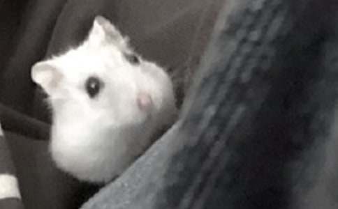 �����x���}(c��ng)������400��24ƪ