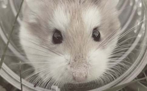 �}�����l(f��)�ļ�ͥ�L������