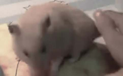 �^��}�����ģ�ͨ��4ƪ��