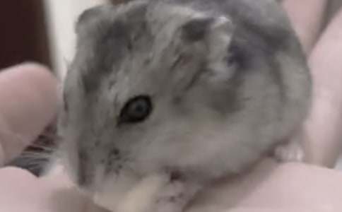 �}����Ȥ������400��