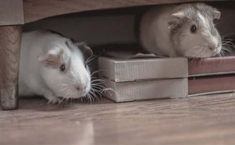 �^��}(c��ng)������ģ����x10ƪ��