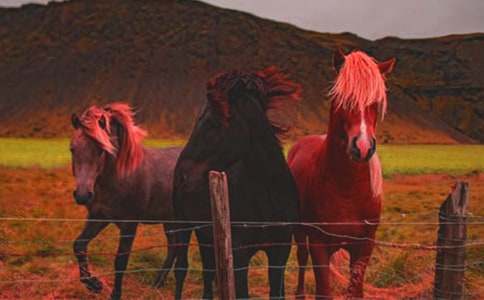 �����������ƥ�RԒ�}����