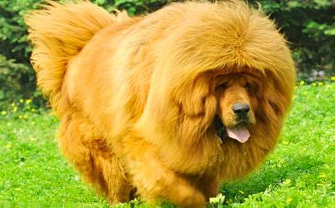 �u�L�����^���8ƪ