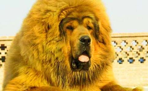 �������Ԛ�����700��